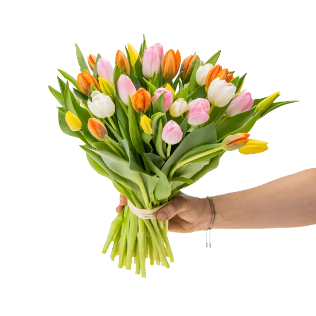 Kytice tulipánů
